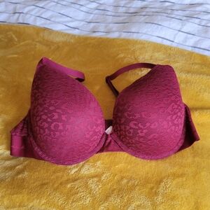 Elegant Lace Women's Bra in Burgundy